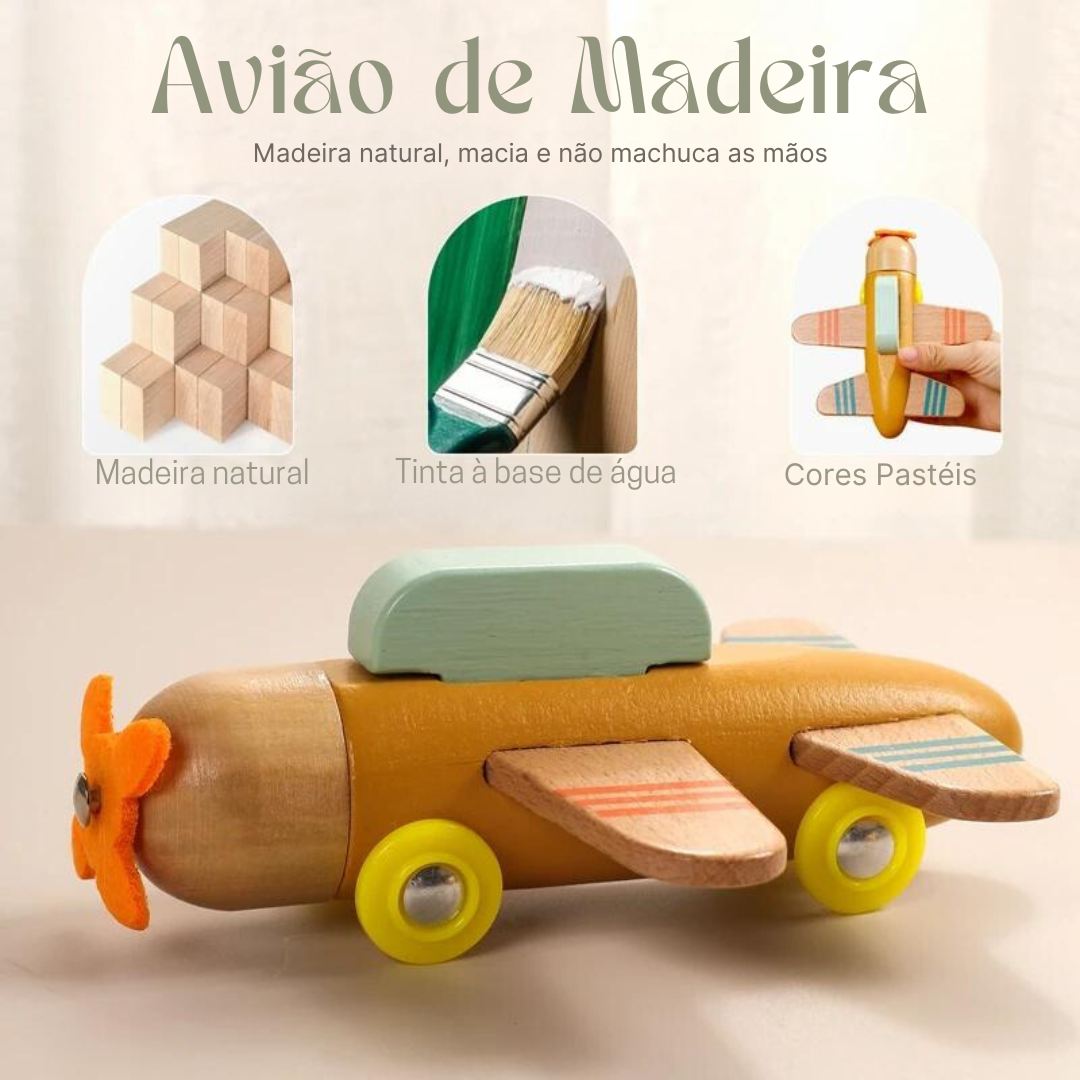 Avião de Madeira