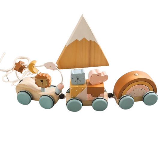 Carrinho Leão Montessori